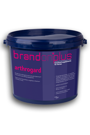 Brandon-plus-Arthrogard