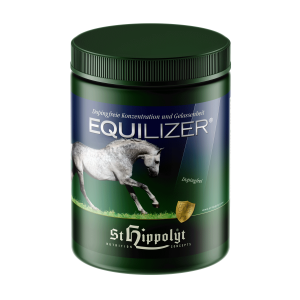 Equilizer-1