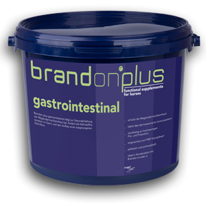 Gastrointestinal