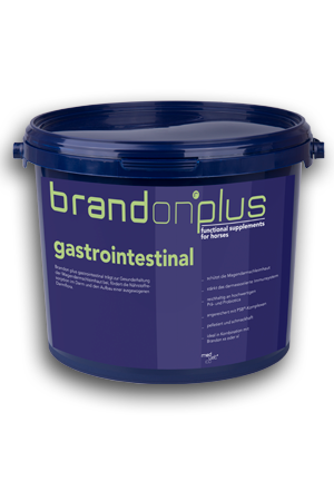 Gastrointestinal