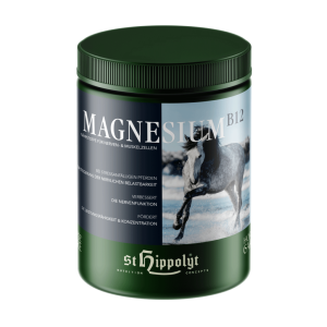 Magnesium-B12-1024×1024