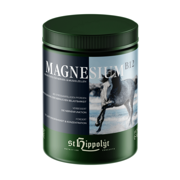 Magnesium-B12-1024×1024