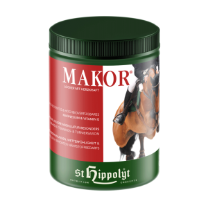Makor-1024×1024