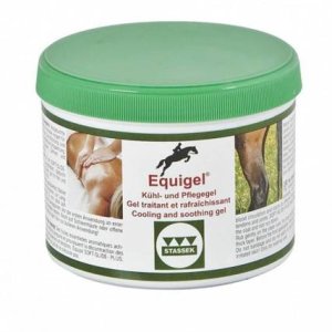 pol_pm_Equigel-Stassek-3582_1