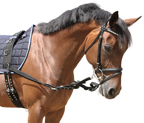 04cf14fbb3b403d89755c18aaf4c5f7a