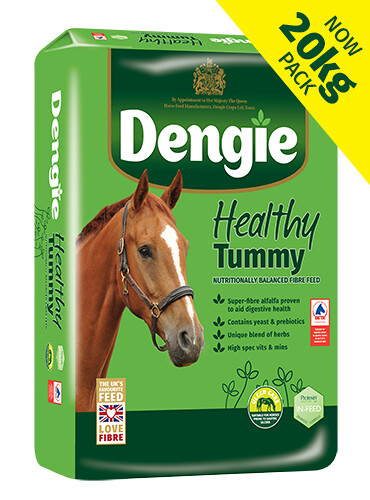 dengie-healthy-tummy-20kg