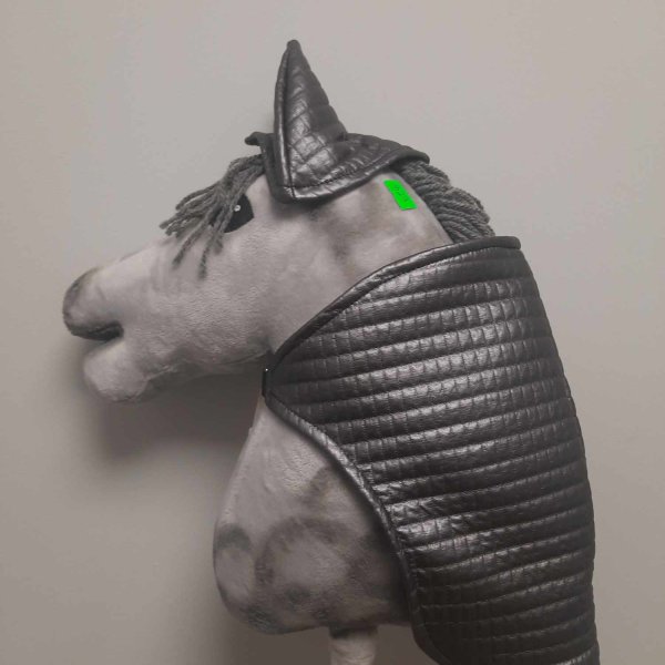 429315851_420310423710565_8400101320456518133_n