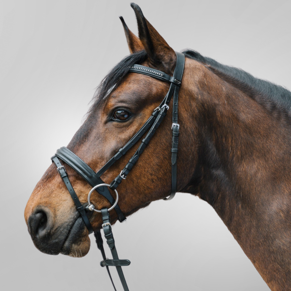 Piękne ogłowie z serii star, z ozdobnym naczółkiem