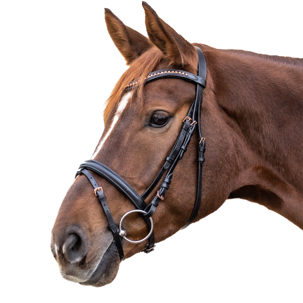 ogłowie waldhausen czarne, w atrakcyjnej cenie