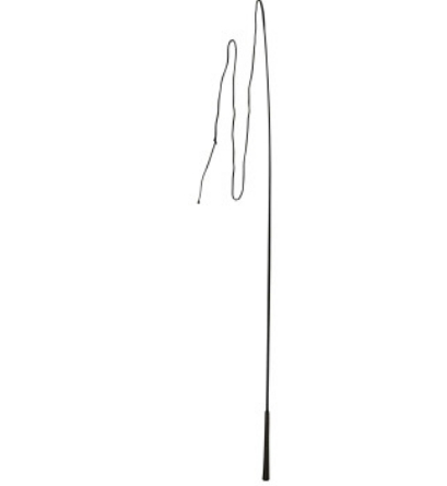 Zrzut ekranu_21-9-2024_12164_canagri.pl