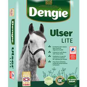 DENGIE_ULSER_LITE_LHS_NO_NEW_Web (1)