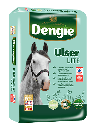 DENGIE_ULSER_LITE_LHS_NO_NEW_Web (1)